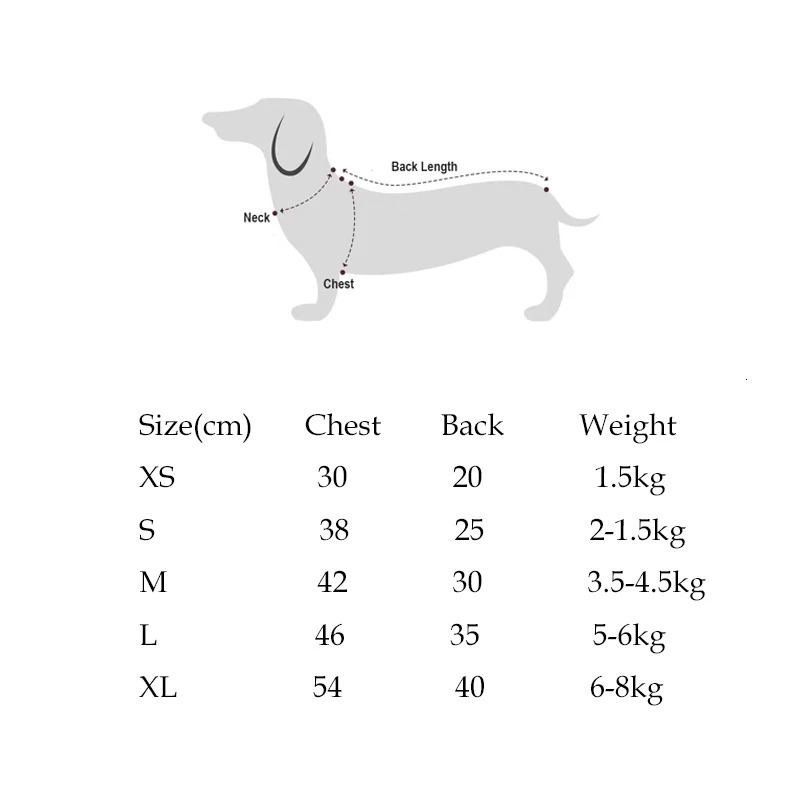 Sausage Dog Dresses for Small Puppy Clothes Summer Princess Pet Girl Female Badger Dogs Lace Skirt Apparel Dachshund 250609
