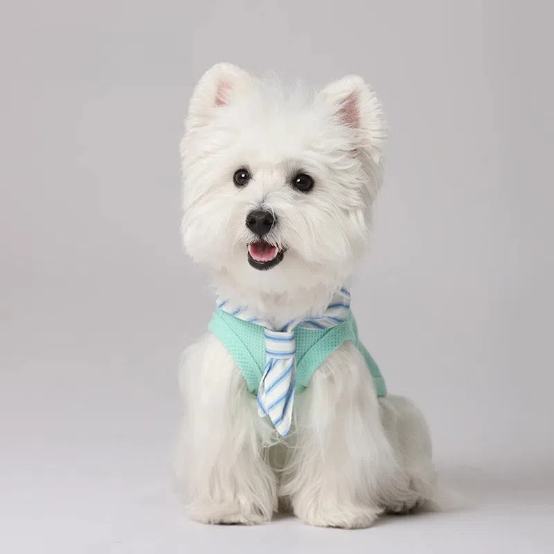 Pet Vest - HOOPET Breathable Waffle Dog & Cat Shirt with Striped Scarf Tie