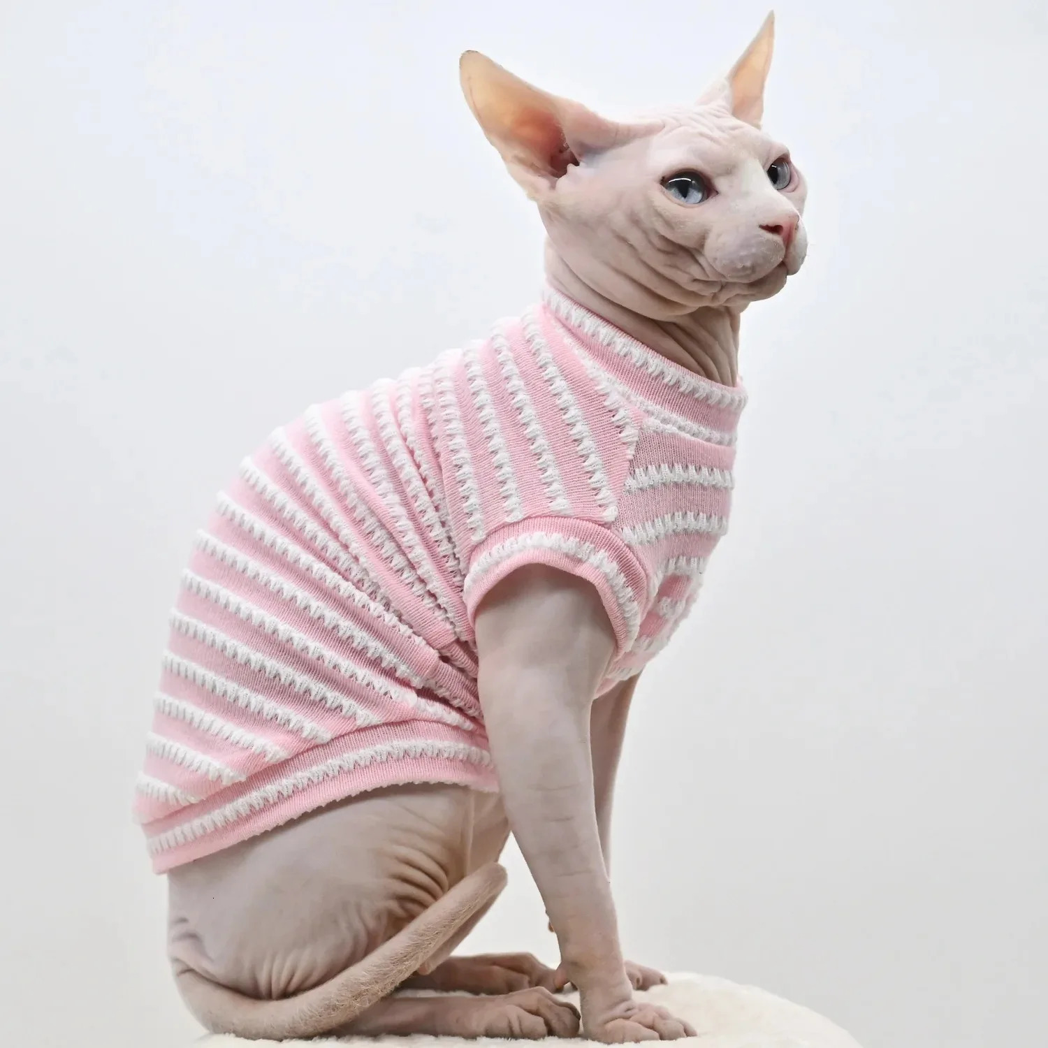 Cute Cat Clothes Summer Sphinx Striped Bottoming Shirt Kittens Vest For Sphynx Breathable Pet Clothing DovenRex Costume 250609