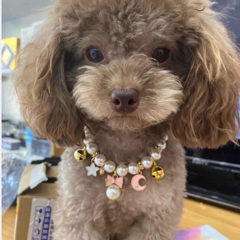 Dog Pearl Collars Princess Small Bell Necklace Pet Fashion Charm Necklace Dog Cute Collar Puppy Accessories Cat Jewelry Neck Strap for Dog Cat M B132