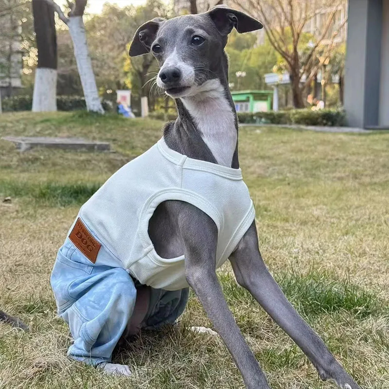 HighStretch Cotton Denim Dog Jumpsuit Spring OnePiece Outfit for Italian Greyhound Poodle Green Pet Costume Apparel 250609