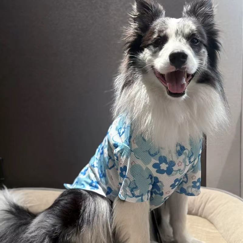 T00421 Border Collie summer thin mesh clothes for medium and large dogs breathable air conditioning anti-cold clothes Labrador clothes