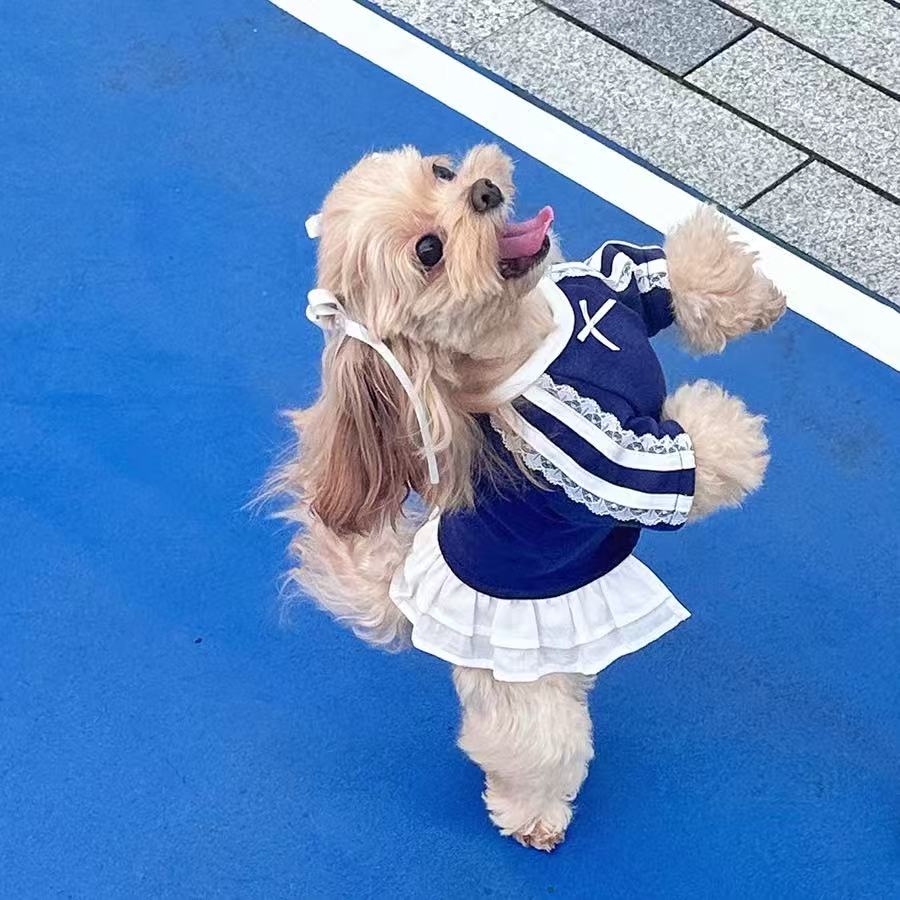 T00415 Pet clothes autumn and winter lace lamb fleece warm two-legged skirt Yorkshire Maltese pet clothes