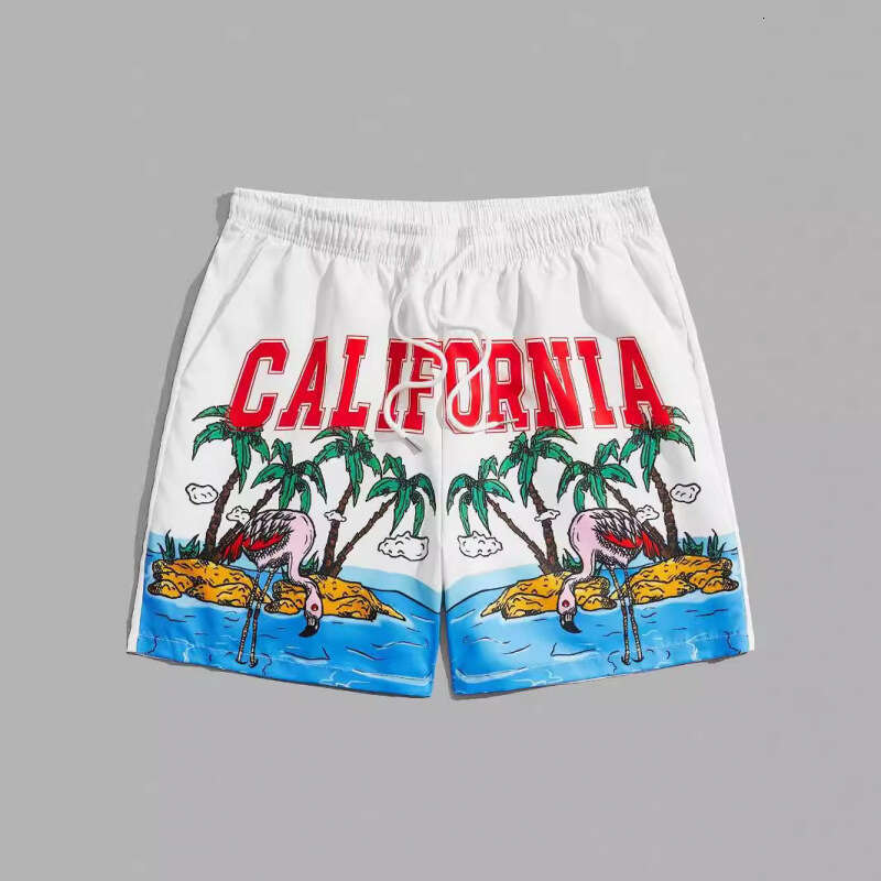 New Mesh Beach Shorts Casual Men's Wear 3D Digital Printing 2025