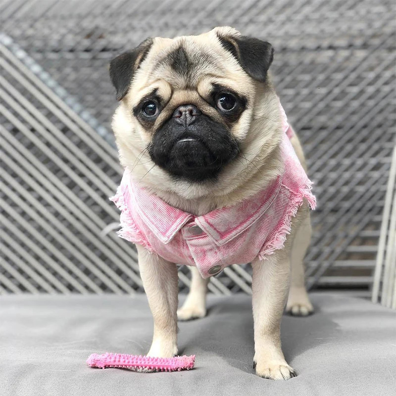 Pet Dog Jeans Jacket Denim Coats Holes Cats Puppy Vest French Bulldog Small Clothes SpringAutumn Apparel Fashion 250609
