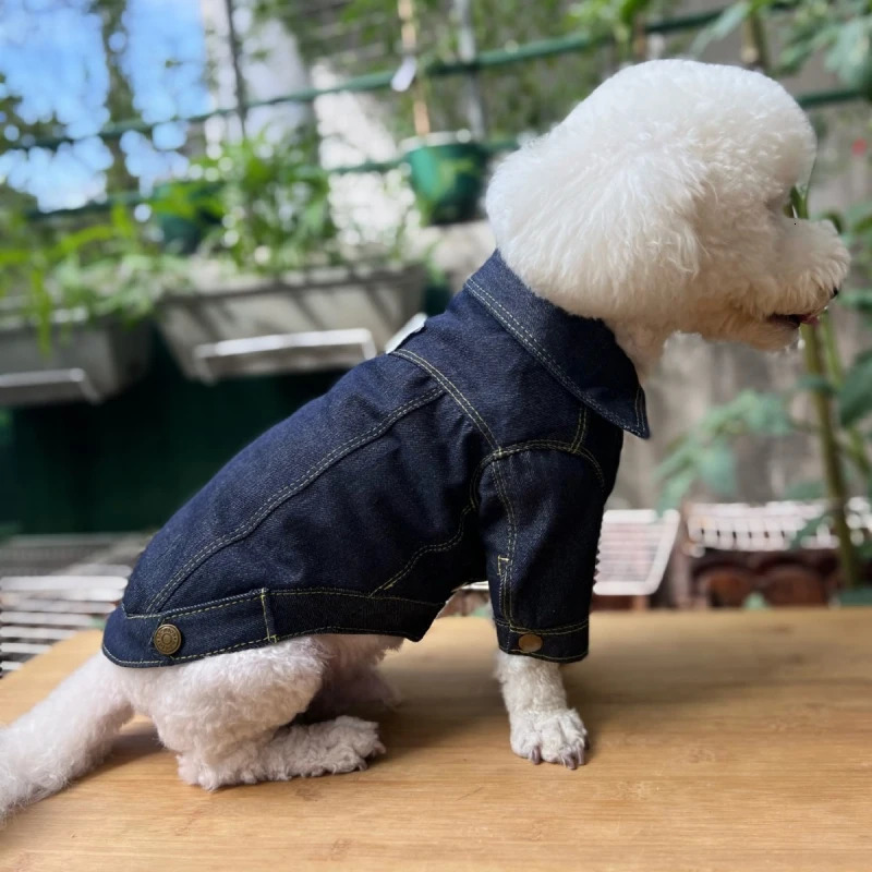 Winter Dog Clothes Denim Jeans Coat Jacket Small Big Large Clothing Poodle Husky Labrador Golden Retriever Pet Apparel 250609