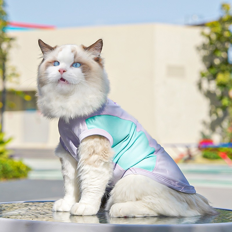 Summer Pet Cooling Vest Shirt for Dogs Cats, Breathable Sporty Design