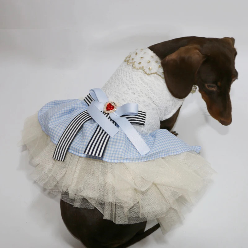 Sausage Dog Dresses for Small Puppy Clothes Summer Princess Pet Girl Female Badger Dogs Lace Skirt Apparel Dachshund 250609