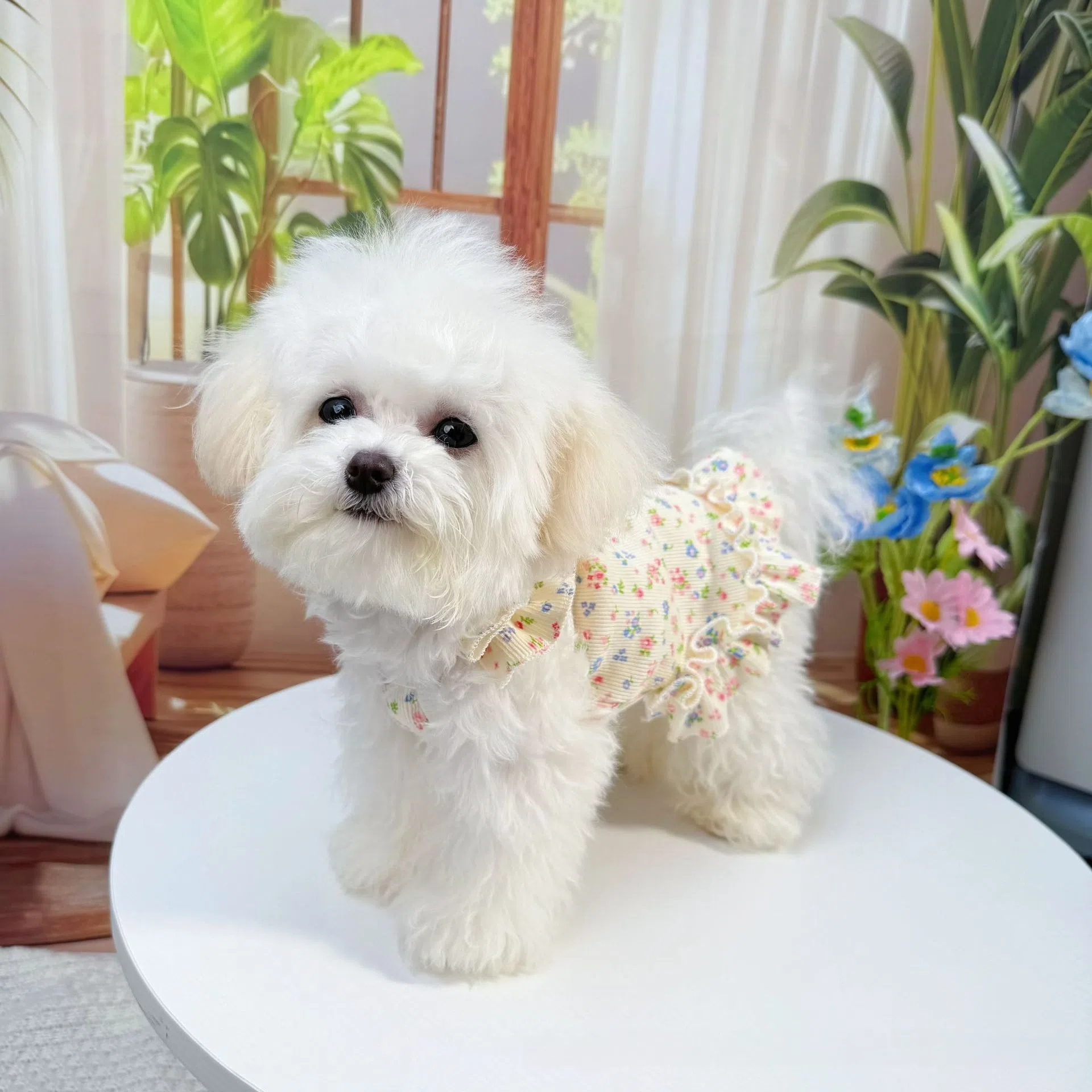 Floral Ruffle Pet Dress for Small Dogs - Breathable & Soft Puppy Princess Skirt
