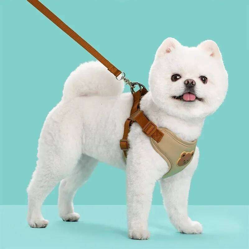 Dog Harness Chest Strap Dogs Collars Pet Vests Accessories Pets Collar Leash Set Puppy Leather