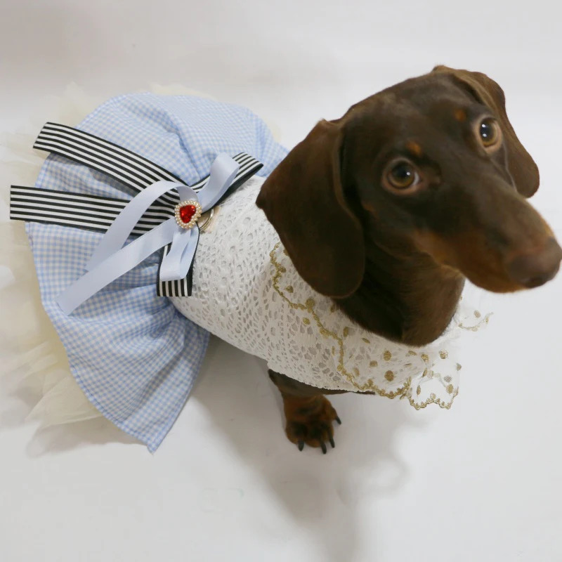 Sausage Dog Dresses for Small Puppy Clothes Summer Princess Pet Girl Female Badger Dogs Lace Skirt Apparel Dachshund 250609
