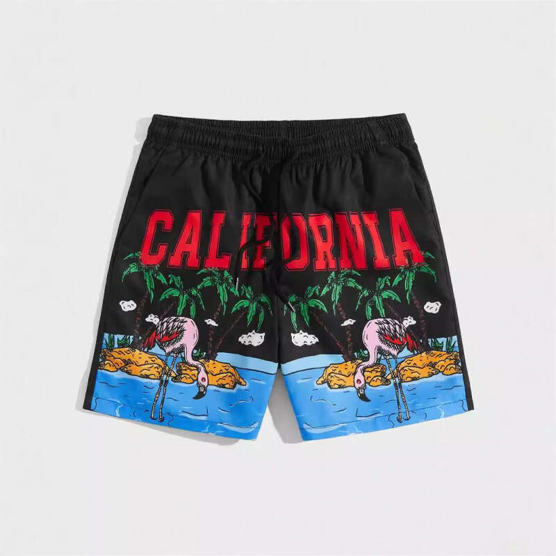 New Mesh Beach Shorts Casual Men's Wear 3D Digital Printing 2025