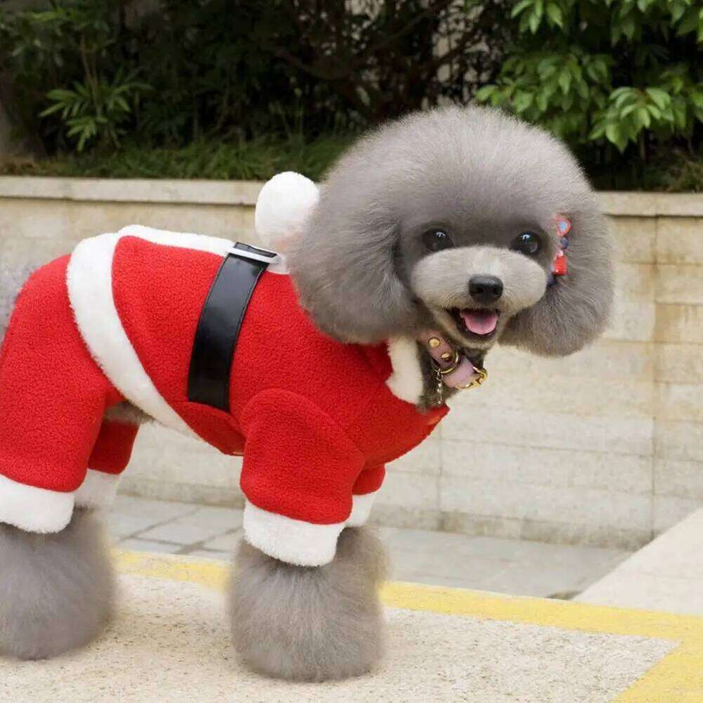 Clothes Soft Comfortable Material Christmas Costume Corgi Apparel Warm Protection Santa Shape Pet Supplies Dog Coat