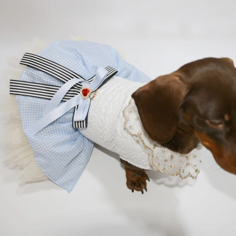 Sausage Dog Dresses for Small Puppy Clothes Summer Princess Pet Girl Female Badger Dogs Lace Skirt Apparel Dachshund 250609