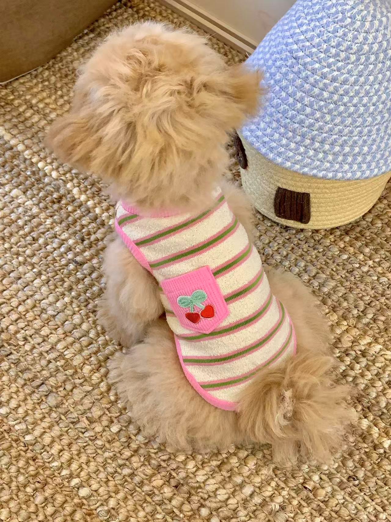 T00420 Original striped dog clothes summer thin bichon teddy small dog pet vest sling