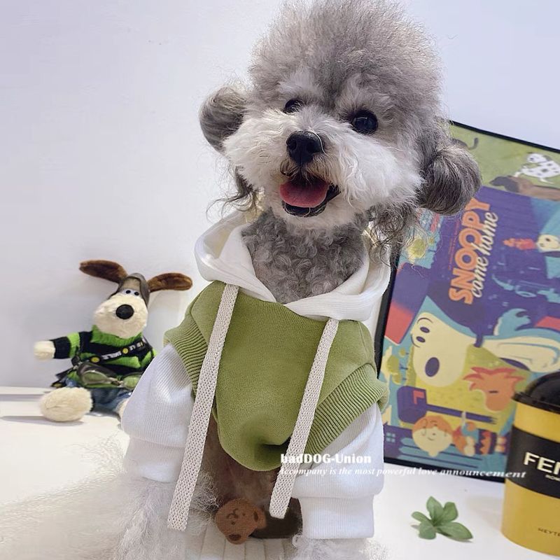 Winter Dog Hoodie with Pockets, Double Tone Color Polycotton Sweatshirt for Small, Medium Dogs, Soft, Warm Pet Clothing for Cold Weather Outdoor Walks