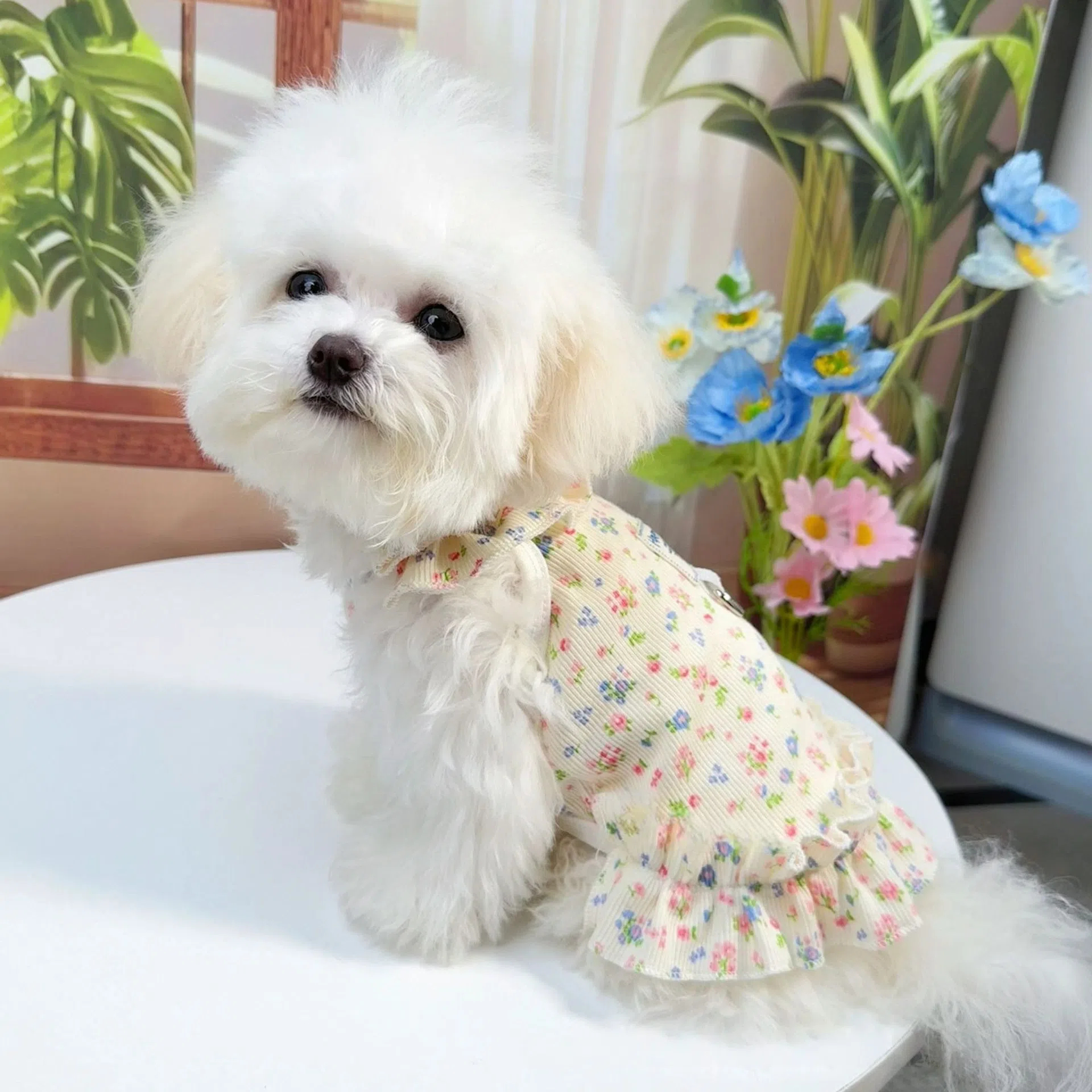 Floral Ruffle Pet Dress for Small Dogs - Breathable & Soft Puppy Princess Skirt