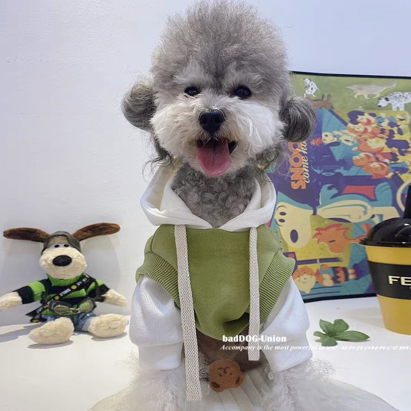 Winter Dog Hoodie with Pockets, Double Tone Color Polycotton Sweatshirt for Small, Medium Dogs, Soft, Warm Pet Clothing for Cold Weather Outdoor Walks