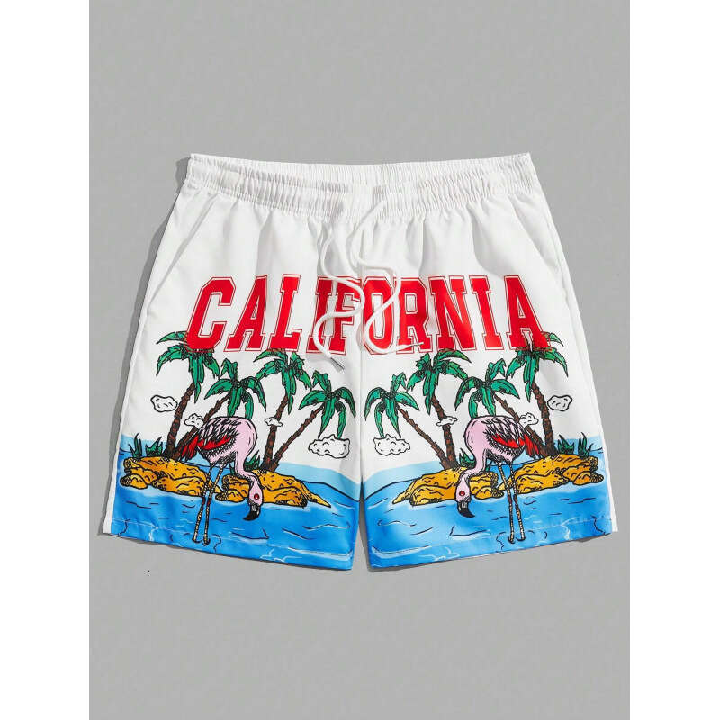 New Mesh Beach Shorts Casual Men's Wear 3D Digital Printing 2025