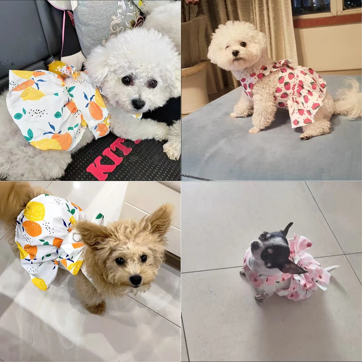 Spring Summer Cute Pet Dog Dress Free Leash Princess Kitten Skirt for Small Medium Dogs Puppy Cat Chihuahua Clothes 250609