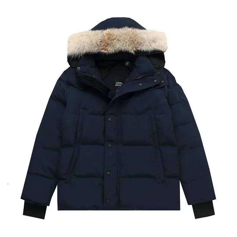 Men's Winter Warm Fashion Casual 90% White Duck Down Couple Outdoor Women's Hiking Jacket Free Shipping