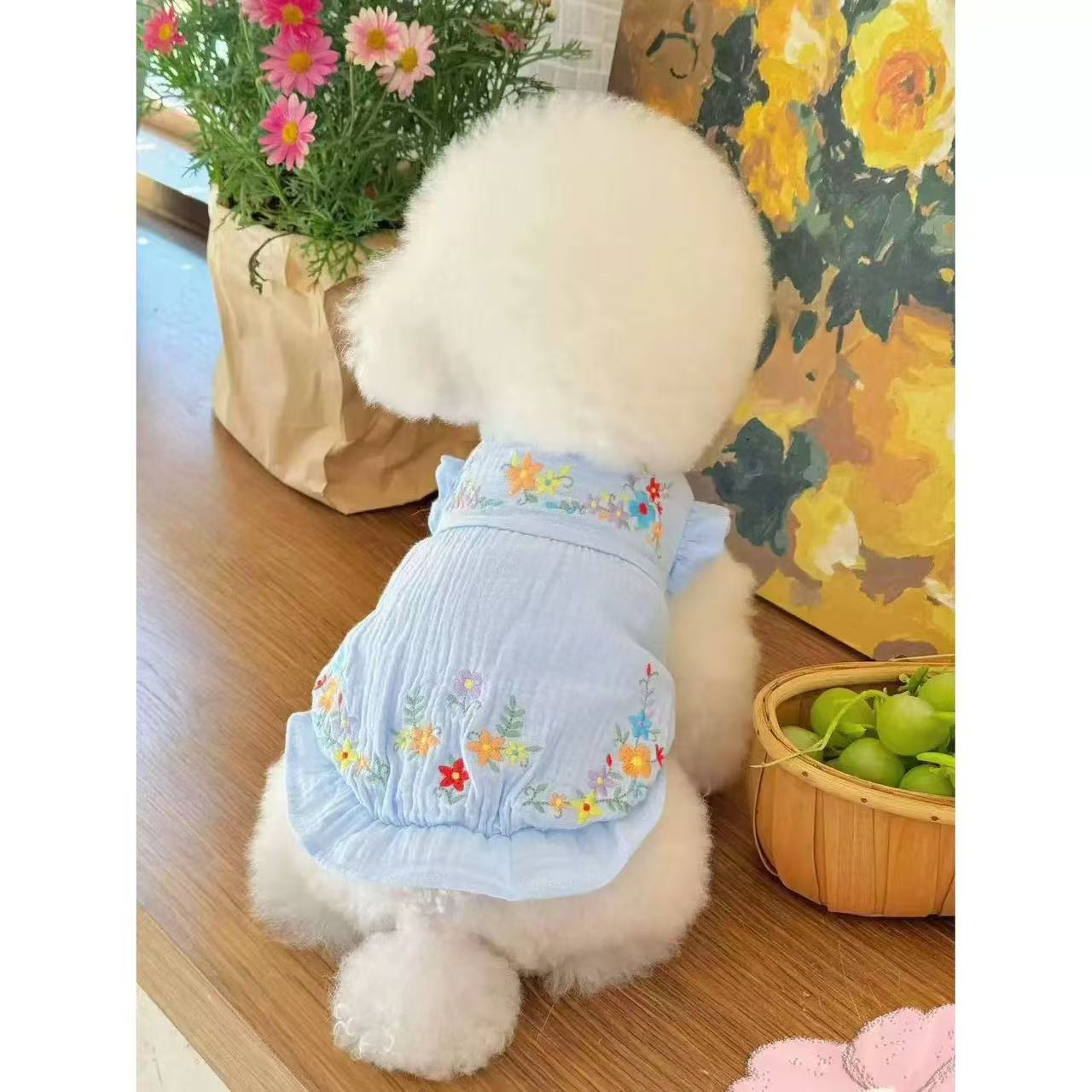 T431Teddy puppy ultra small skirt cat dog clothes summer thin style