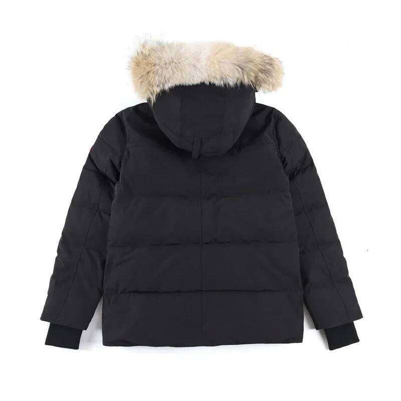 Men's Winter Warm Fashion Casual 90% White Duck Down Couple Outdoor Women's Hiking Jacket Free Shipping
