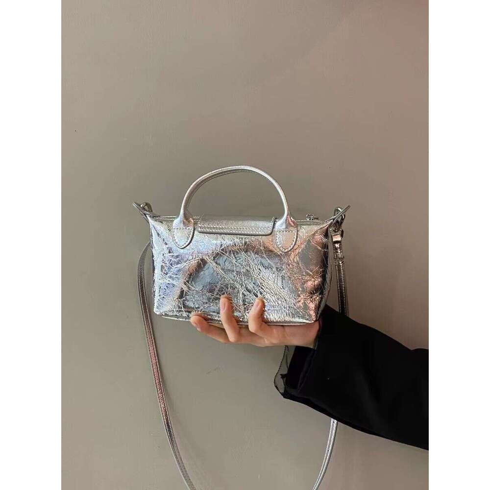 Women's 2024 New French Niche Designer Silver Dumpling High-end Commuter Handbag Crossbody Bag