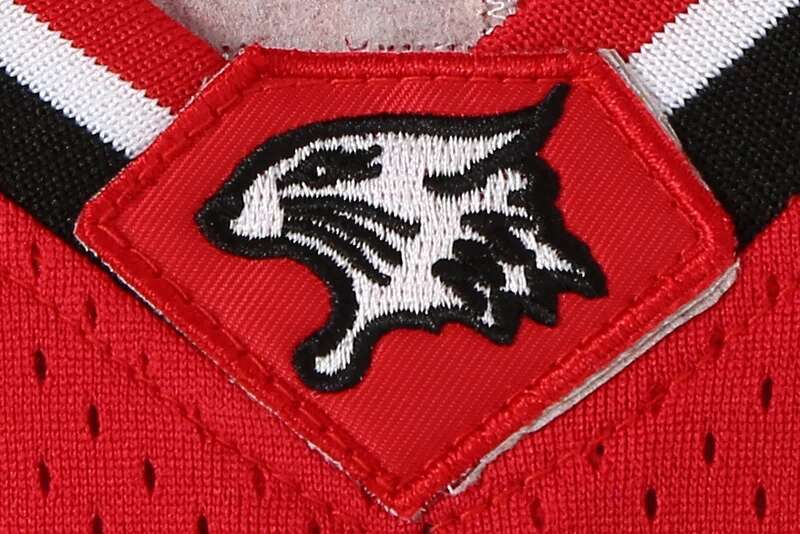 Number 14 Zac Efron Troy Bolton East High School Wildcats red Retro Basketball Jersey Men's ed Jerseys Sport Shirt