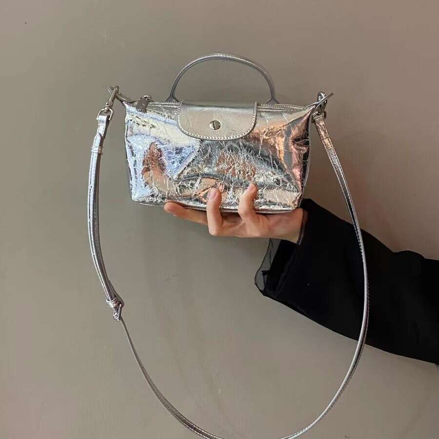 Women's 2024 New French Niche Designer Silver Dumpling High-end Commuter Handbag Crossbody Bag
