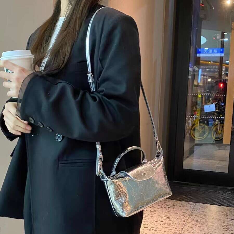 Women's 2024 New French Niche Designer Silver Dumpling High-end Commuter Handbag Crossbody Bag
