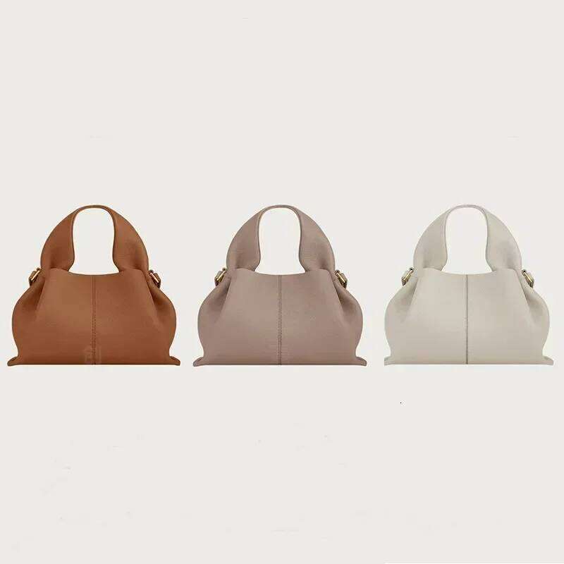 Cloud French Brand Genuine Cowhide Ladies Simple Dumpling Shoulder Bag