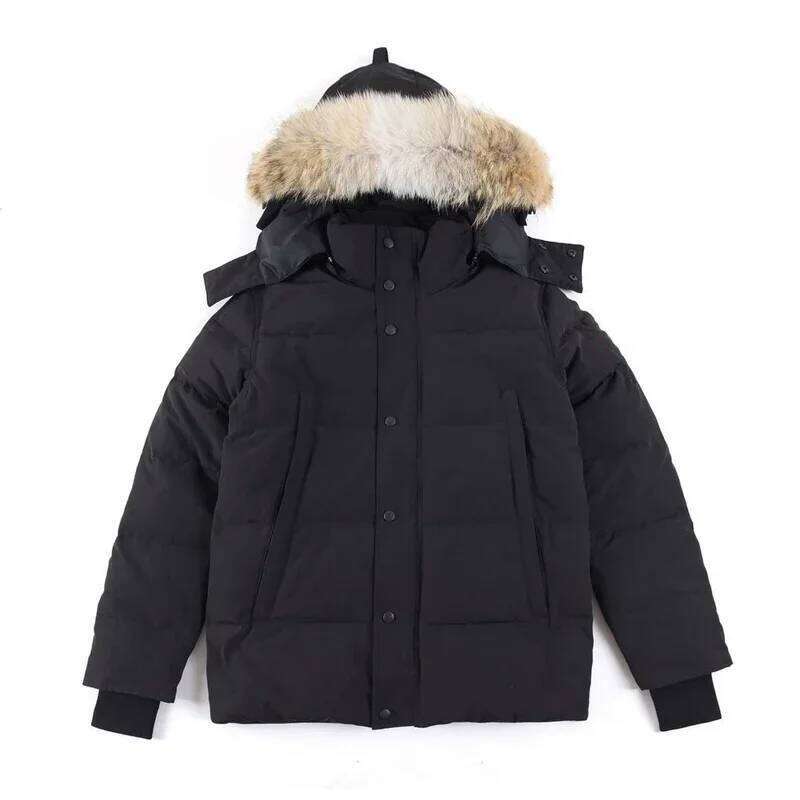 Men's Winter Warm Fashion Casual 90% White Duck Down Couple Outdoor Women's Hiking Jacket Free Shipping