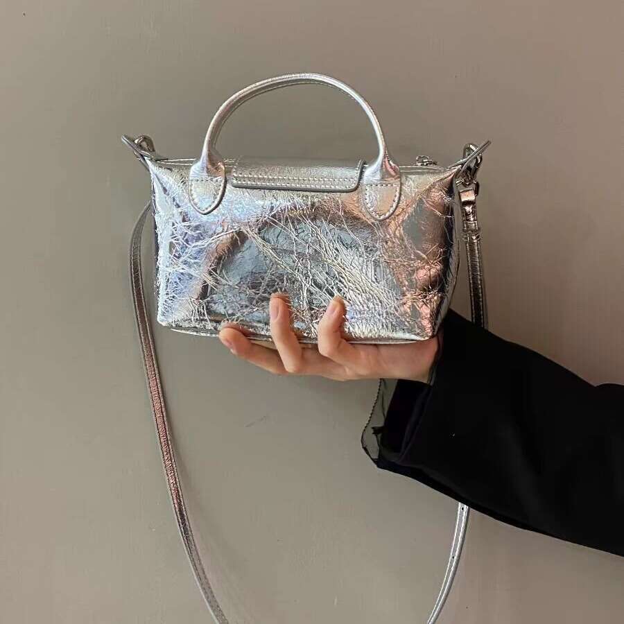 Women's 2024 New French Niche Designer Silver Dumpling High-end Commuter Handbag Crossbody Bag