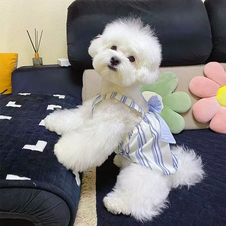 T00425Pet doll collar polo shirt autumn style Yorkshire terrier Maltese dog cat pet clothes