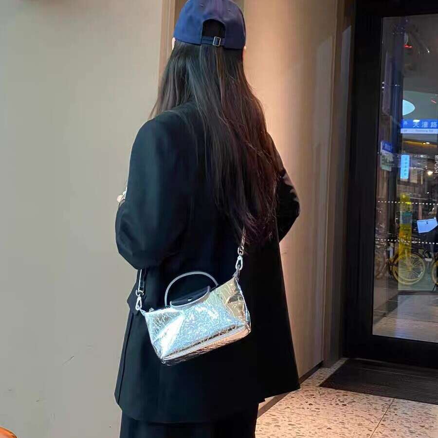 Women's 2024 New French Niche Designer Silver Dumpling High-end Commuter Handbag Crossbody Bag
