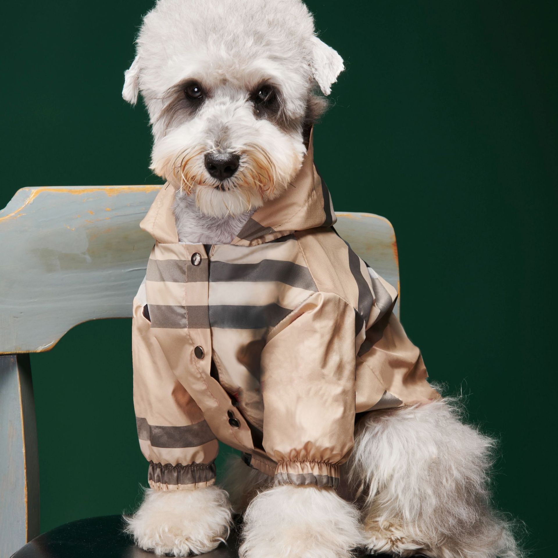 Designer Dog Clothes Jacket - Luxury Classics Stripe Dog Coat with Hoodie, Windproof Winter Jacket for Small Medium Dogs, Perfect for Cold Weather XL A513