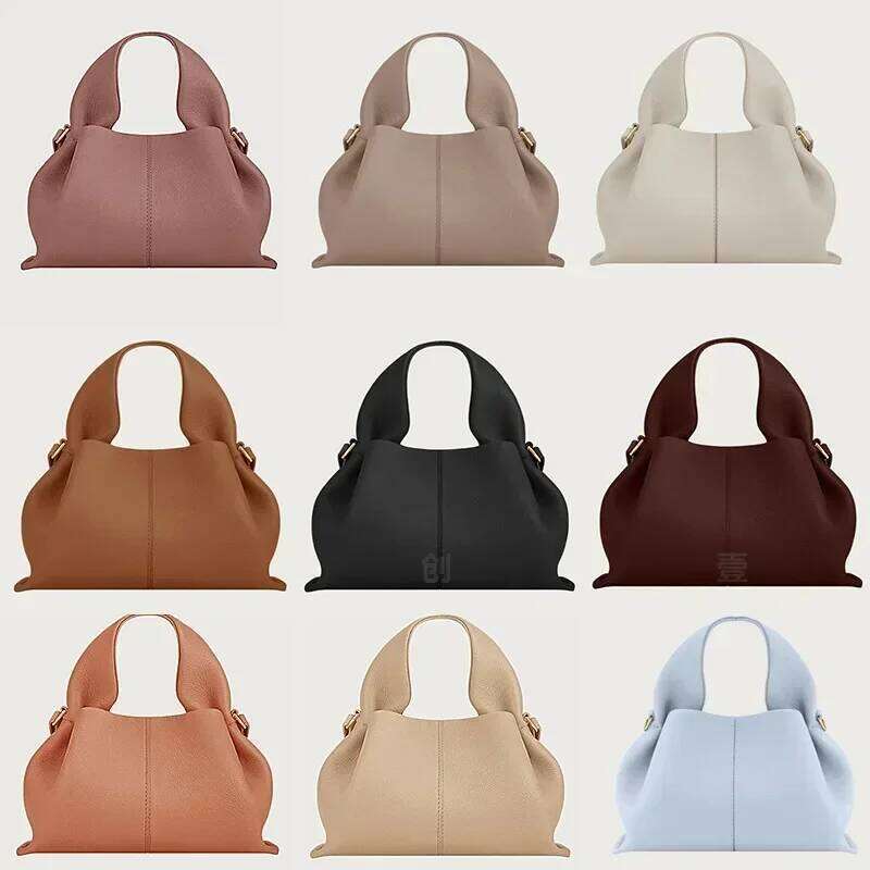 Cloud French Brand Genuine Cowhide Ladies Simple Dumpling Shoulder Bag