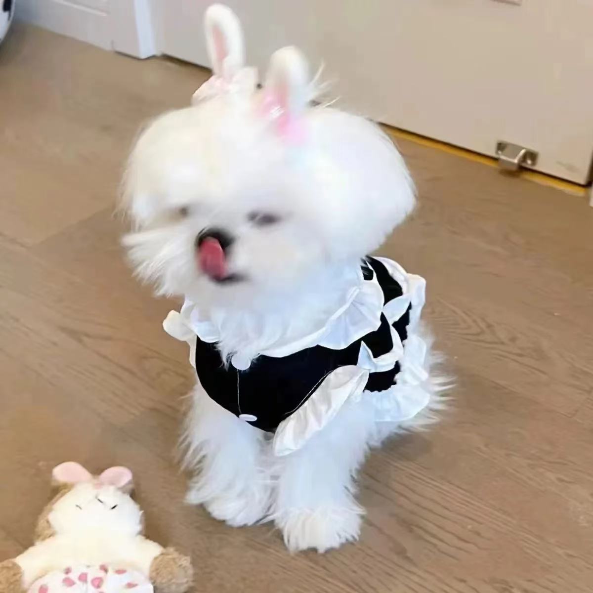 T432Pet spring and summer sweet and cute floral vest dress home clothes dog cat anti-hair loss summer small dog clothes