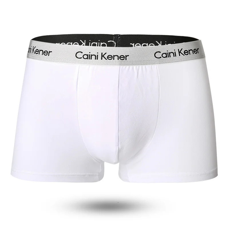 4Pcs Men Boxers Man Short Breathable Flexible Comfortable Shorts Lovely Solid Panties 250610