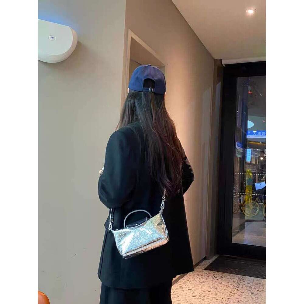 Women's 2024 New French Niche Designer Silver Dumpling High-end Commuter Handbag Crossbody Bag