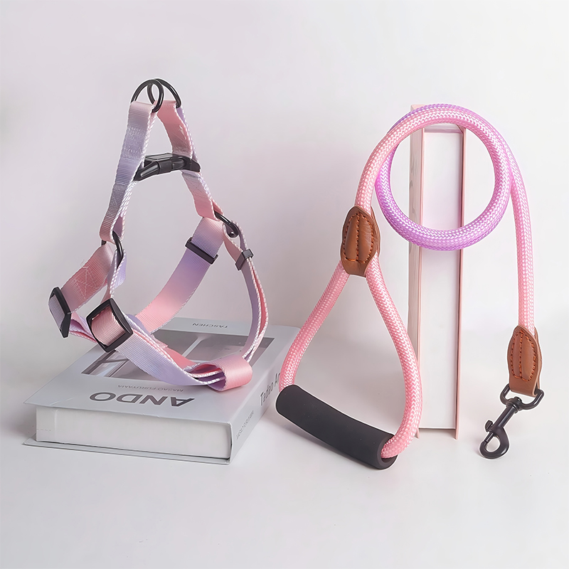 Trendy Styling Leash & Safety Vest Combo for Dogs Premium Quality