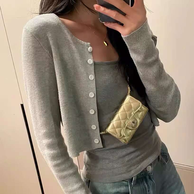 Silver Small Wallet Card Holder Coin Purse Mini New Waist Women's Chain Crossbody Bag