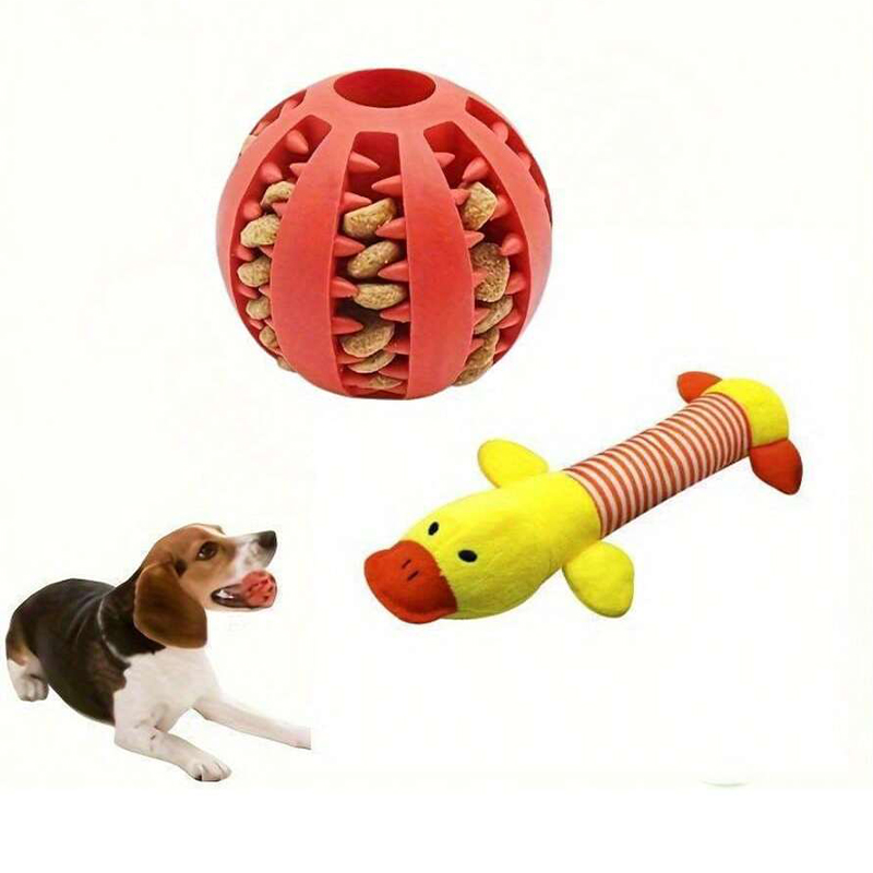 Dual Purpose Canine Chewable Rubber Bouncy Balls w/ Audible Stuffed Companion