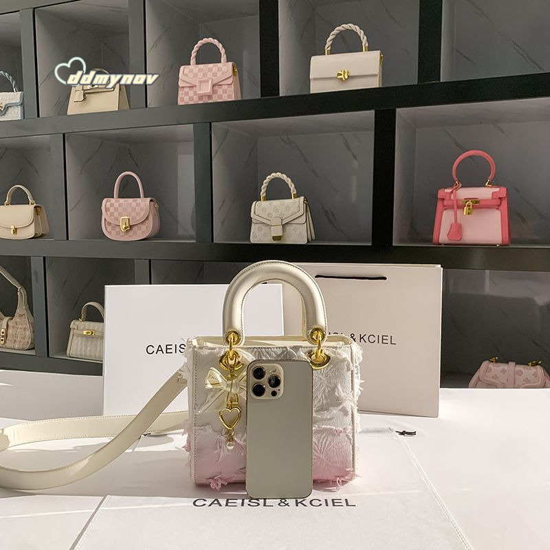 High-end Tassel Bag for Women Gradient 2024 Princess Diana New Handbag ddmynov
