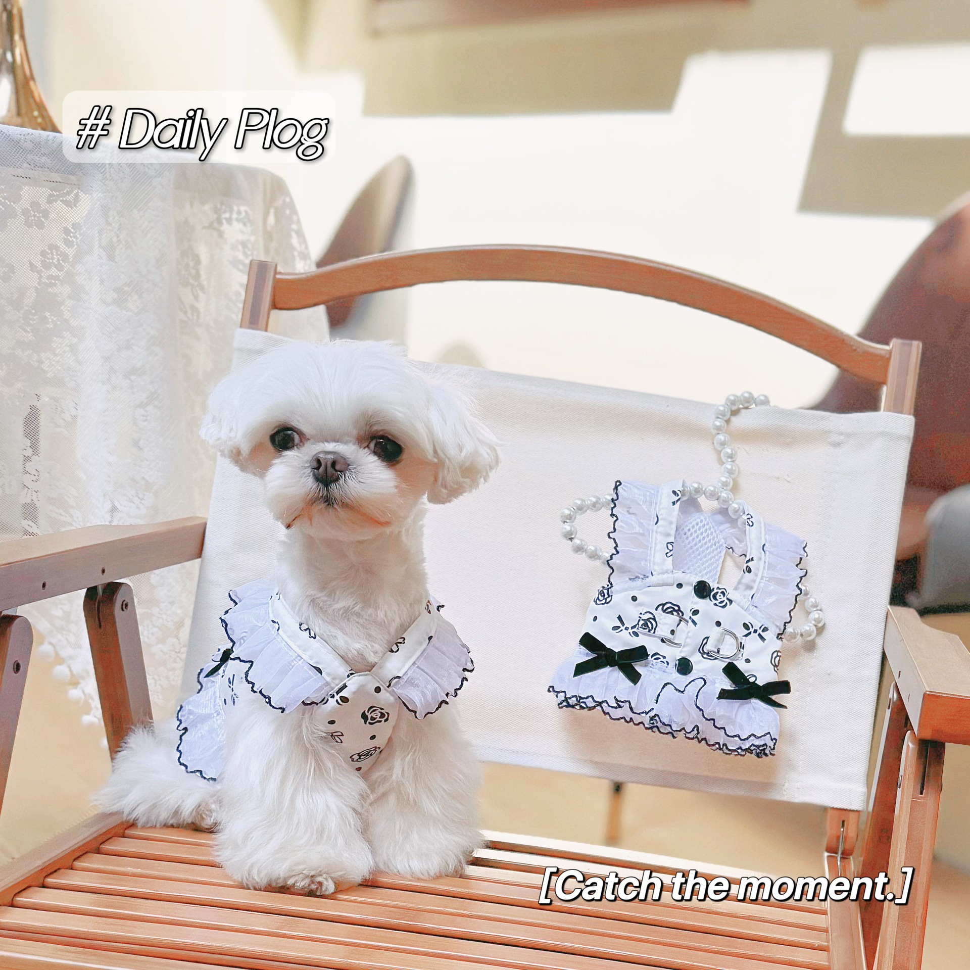 Fashion Dog Harness Dress with Leash D-Ring for Small Dogs Floral Bow Tie Girl Puppy Dress Breathable Cute Princess Dog Dresses Spring Summer Pet Clot