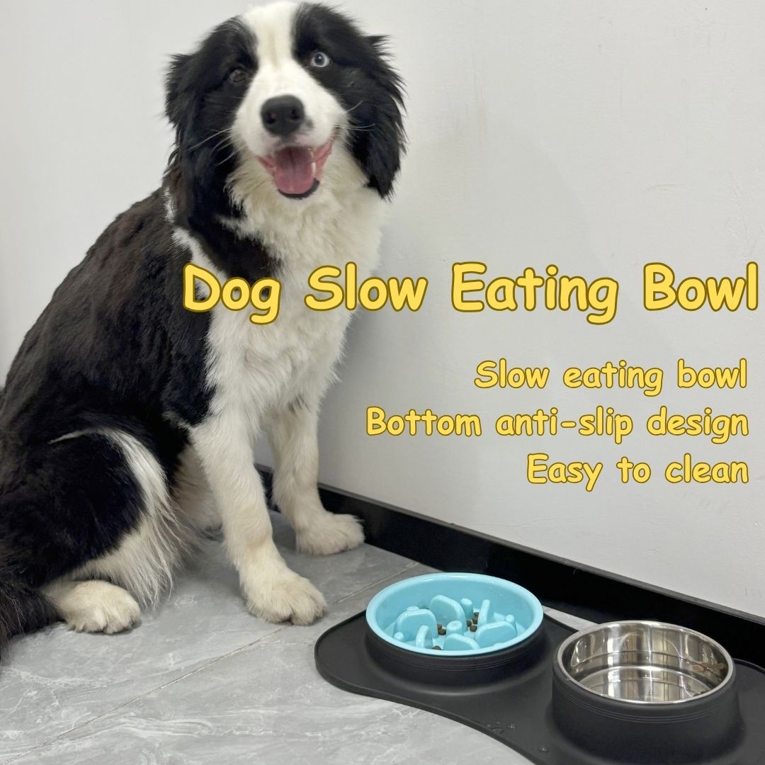 3-in-1 Slow Feeder Dog Bowl with Non-Slip Mat - Stainless Steel Food and Water Bowl for Large, Medium, and Small Breeds, Prevents Choking - Ideal for 