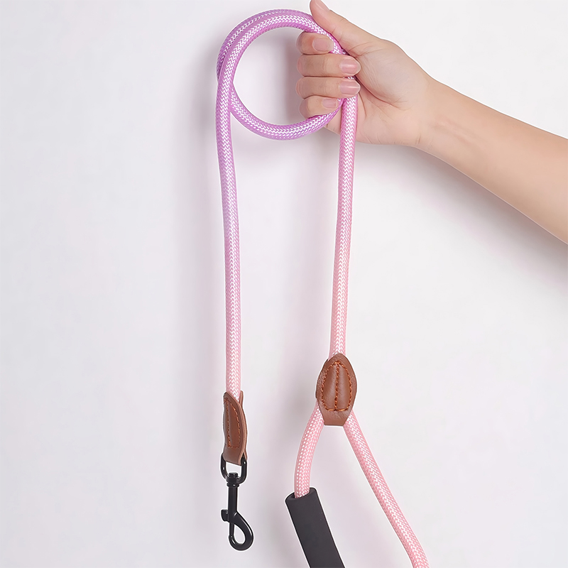 Trendy Styling Leash & Safety Vest Combo for Dogs Premium Quality