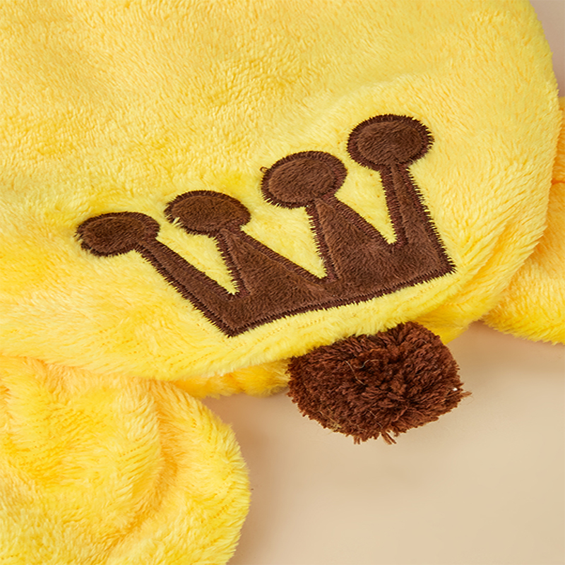 Cute Pet Transformable Embroidered Lion Costume