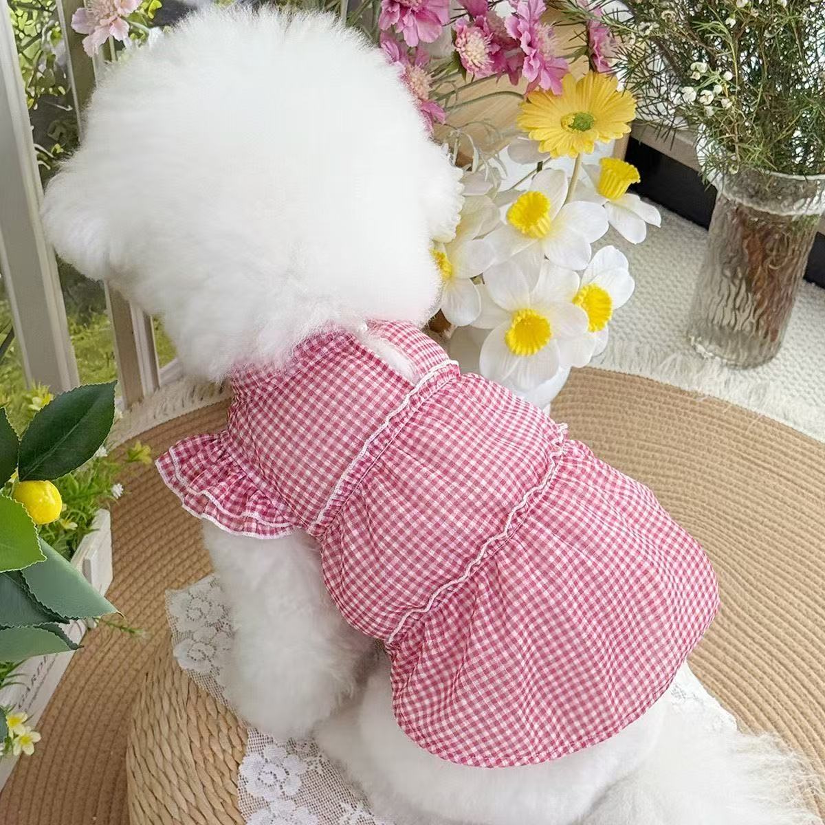 T440Summer colorful and elegant pet clothes new lace breathable puffy skirt dog cat thin dress